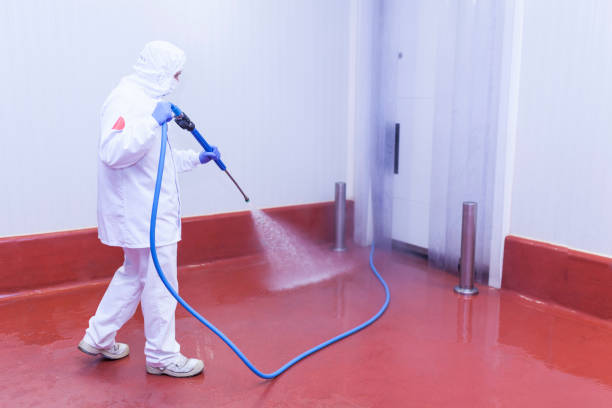 Best Heavy Equipment Washing  in Edison, GA